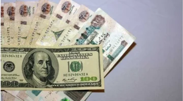 استقرار سعر الدولار مقابل الجنيه بعد ضخ 29 مليار دولار في السوق المصرفية